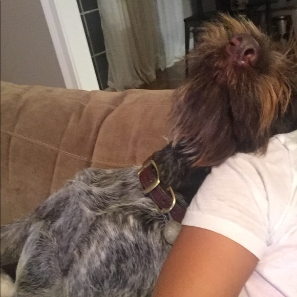 Meet your Posher, Danielle - Picture 4 of 6